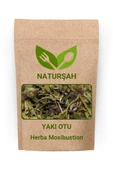 Naturşah Yakı Otu / Herba Moxibustion 50 Gr - 1