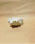 Minelly Ondina Mumlu - 3