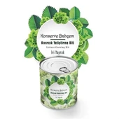 BUFFER® Konserve Bahçem Evde Konservede İri Yapraklı Kıvırcık Yetiştirme Kiti thumbnail 1