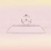 BUFFER® Dekoratif Masa Üstü Obje Manyetik Kinetik Orbital Dönen Yunuslar thumbnail 1