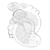 BUFFER® Ayakkabı İçi Ayak Kaydırmaz Dolgulu Rahat Silikon Pedi Tabanlığı thumbnail 6