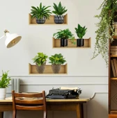 Raflı Bitki Tasarımlı Yapışkanlı Sticker 20*30 cm 3lü Set thumbnail 5