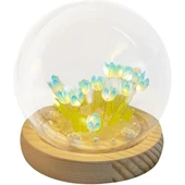 LED Işıklı Kendin Yap Lale Cam Küre thumbnail 1