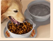 Mikopet Katlanabilir İkili Mama ve Su Kabı thumbnail 4