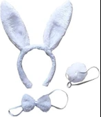Tavşan Kostüm Seti Taç Papyon Kuyruk Beyaz Renk thumbnail 1