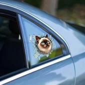 Fulcar Siamesse Araç Stickerı thumbnail 1