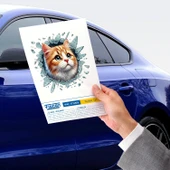 Fulcar Sarman Araç Stickerı thumbnail 3