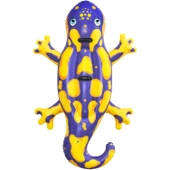 Bestway Kertenkele Binici Çift Kişilik Binici Deniz Yatağı 191cm Bestway Salamander Binici thumbnail 7