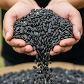 Dakota Ayçekirdeği Tuzlu Kavrulmuş 1000 gram thumbnail 3