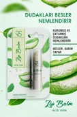 RİSE & SHİNE Alorevera Lip Balm - 1