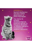 Whiskas Pouch Pure Delight Jöle İçinde Tavuklu ve Somonlu Yetişkin Kedi Konservesi 4x85 Gr - 4