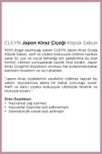Cleyn Japon Kiraz Çiceği Köpük Sabun 2 Litre - 2