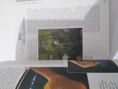 Zierfische - Faszinierende Welt der Aquarien - Hardcover (Sahafiye Kitap) - 3