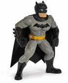 Batman Yüzme Arkadaşları - 6067008 thumbnail 3