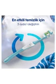 Oral-B Pro-Expert Derinlemesine Temizlik 2'li Paket Diş Fırçası thumbnail 5