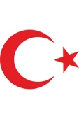 DizaynHediye Türk Bayrağı Sticker Ay Yıldız Araba Oto Sticker 20 Cm X 15 Cm - 1