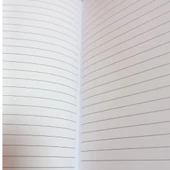 Mikro Capybara Sert Kapak Kadife Arka  Hatıra Ve Not Defteri Günlük A5 Çizgili 80 Yaprak (GN646 thumbnail 3