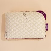 PAPILLOW Innovation Organic Cotton Lateks Yastık King 60*40*15 Square - 3