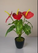 Yapay Çiçek Antoryum Siyah Saksılı Yapay Bitki Salon Çiçeği Kırmızı thumbnail 4
