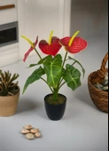 Yapay Çiçek Antoryum Siyah Saksılı Yapay Bitki Salon Çiçeği Kırmızı thumbnail 3
