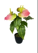 Yapay Çiçek Antoryum Siyah Saksılı Yapay Bitki Salon Çiçeği Pembe Yeşil thumbnail 1