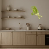 Renkli  Papağan Tasarımlı Dekoratif Duvar Altın Aynalı Tablosu - 3