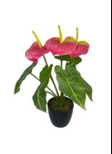 Yapay Çiçek Antoryum Siyah Saksılı Yapay Bitki Salon Çiçeği Pembe thumbnail 1