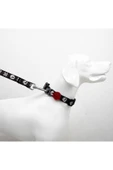 Tailpetz Boo M Küçük-Orta Irk Köpek Boyun Tasması (Boyun 30 cm x 50 cm) - 2