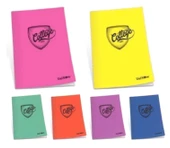 Çınar College 60 Yaprak Çizgili A4 Defter Pp Kapak - 2 adet - 1
