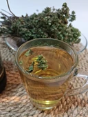 Trabzon Yayla Kekiği 100 gr ( %100 Doğal, Kurutulmuş ) - 3
