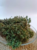 Trabzon Yayla Kekiği 100 gr ( %100 Doğal, Kurutulmuş ) - 2