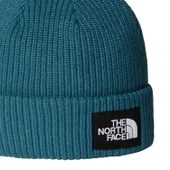 The North Face SALTY LINED BEANIE Unisex Bere NF0A8CGZBQ51 thumbnail 2