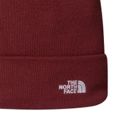 The North Face NORM BEANIE Unisex Bere NF0A5FW10VO1 thumbnail 2