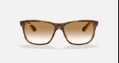 Ray-Ban RB 4181 710/51 57 Unisex Güneş Gözlüğü thumbnail 2