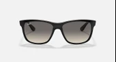 Ray-Ban RB 4181 601/71 57 Unisex Güneş Gözlüğü thumbnail 2