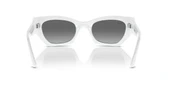 Ray-Ban RB 4430 6759 / 11 49 Unisex Güneş Gözlüğü thumbnail 4