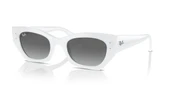 Ray-Ban RB 4430 6759 / 11 49 Unisex Güneş Gözlüğü thumbnail 1