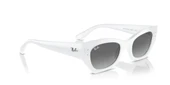 Ray-Ban RB 4430 6759 / 11 49 Unisex Güneş Gözlüğü thumbnail 2