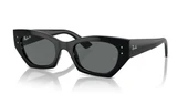Ray-Ban RB 4430 6677 / 81 49 Polarize Unisex Güneş Gözlüğü thumbnail 1