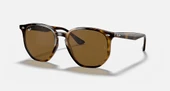 Ray-Ban RB 4306 710 / 83 54 Unisex Güneş Gözlüğü thumbnail 1