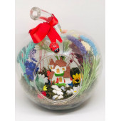 Minikkuş Tasarım Şen Bahçem Teraryum thumbnail 2