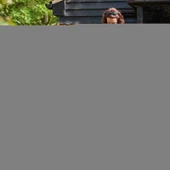 Bosch Universal Aquatak 135 Basınçlı Yıkama Makinesi - 4