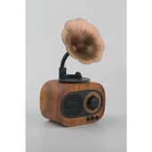 By Store Forland B5 Nostaljik Mini Radyo Gramofon Bluetooth Hoparlör Fm USB Sd Yüksek Ses Speaker B5 thumbnail 2