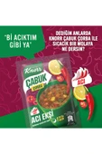 Knorr Çabuk Çorba Acı Ekşi 19gx12 - 4
