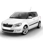 Skoda Fabia 2011-2014 1.2TDi CFWA Motor Vakum Pompası 03L145100G - 3