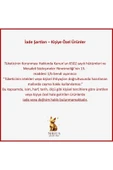 925 Ayar Gümüş Kemik Choker Kolye - 5