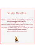 925 Ayar Gümüş Star Choker Kolye - 5