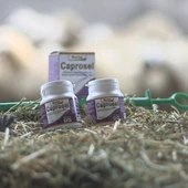 Royal İlaç Rovita Caprosel 50 Capsul Kuzular Için Selenyum Ve E Vitamini Takviyesi - 2