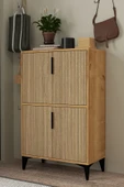 Evmo Home 1405 Ada Ayakkabılık 4 Raflı 4 Kapaklı Çok Amaçlı Dolap Kiler Yunus Safir - 4