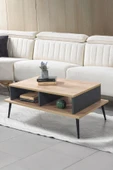 Evmo Home 2009 Şile Metal Ayaklı Orta Sehpa , Salon Sehpası Safir Antrasit - 1